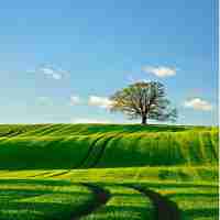 快​速﻿排​名﻿系﻿统‌好‍吗​?